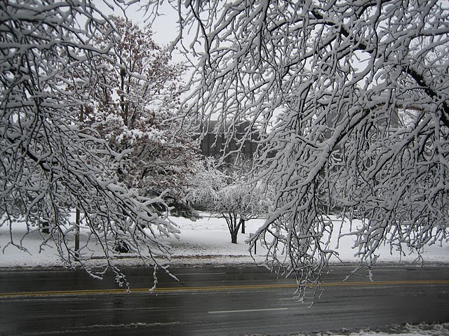  Weekend Reading   December and Snow are Here Edition