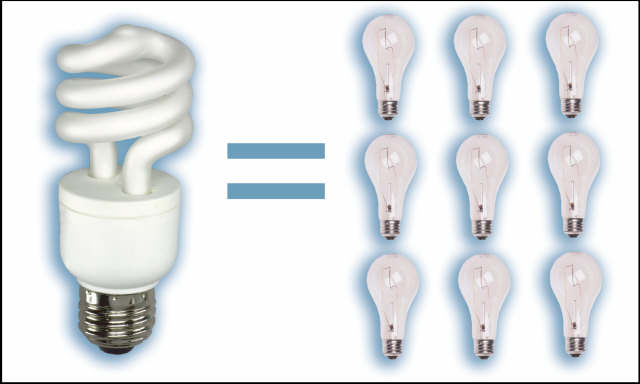 CFL Bulbs cfl Dont lighten your wallet with inefficient bulbs