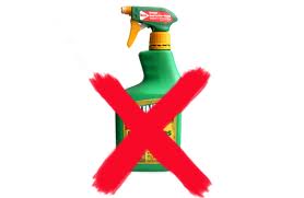 green cleaning products