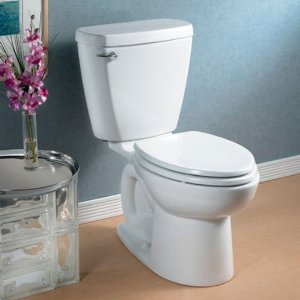 Low Flow Toilet
