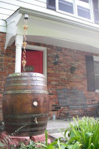 The new rain barrel with a rain chain
