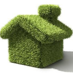 chemical free green cleaning products